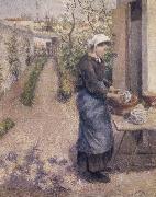 Camille Pissarro Woman washing dishes oil